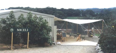 cellar door