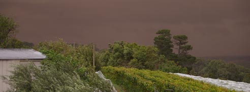 vineyard_storm